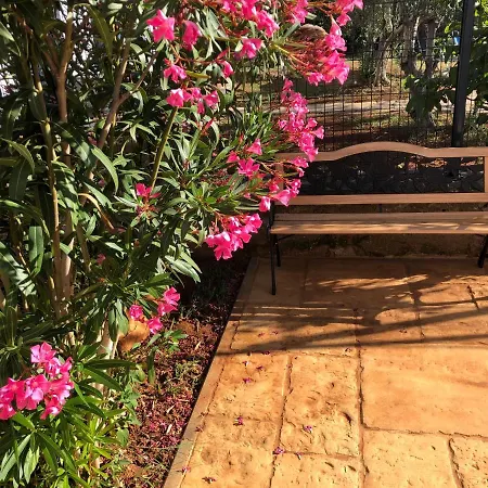 “jarnecic” Krk Town